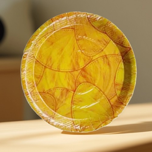 Disposable Paper Plates & Glasses Set