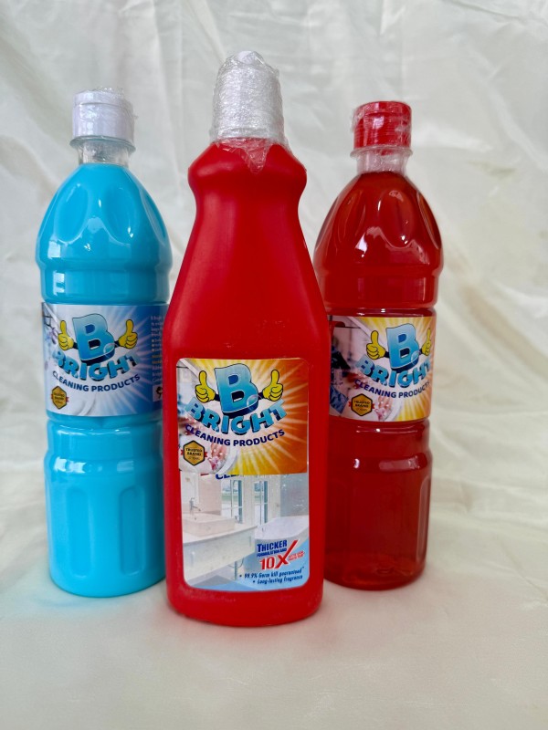 Multi Purpose Floor Cleaner and Harpic