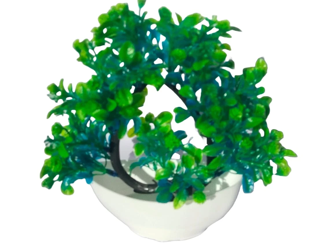 Tree Plant with White Pot