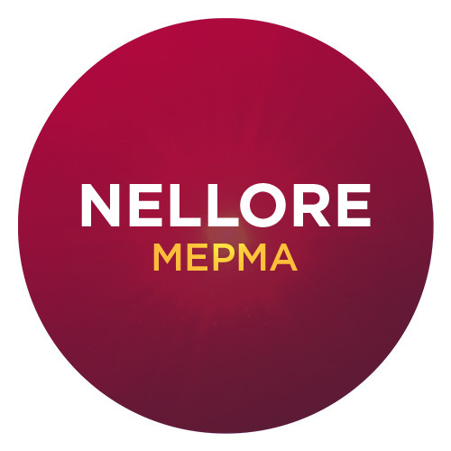 MEPMA Nellore